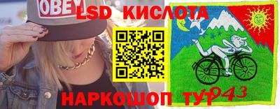 дживик Гатчина