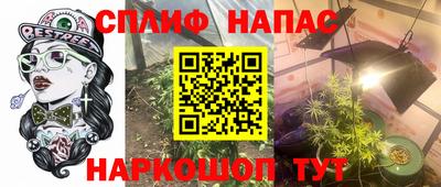 дживик Гатчина