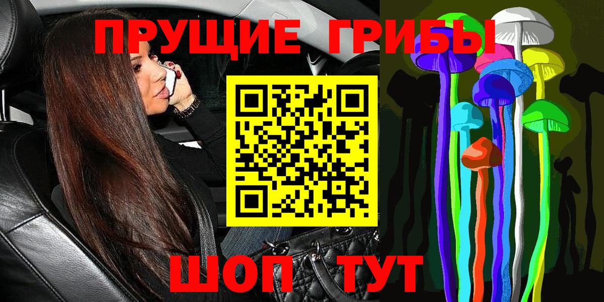 Дзержинск  Галлюциногенные грибы GOLDEN TEACHER  купить  цена  Псилоцибиновые грибы мухоморы  Вход с VPN 